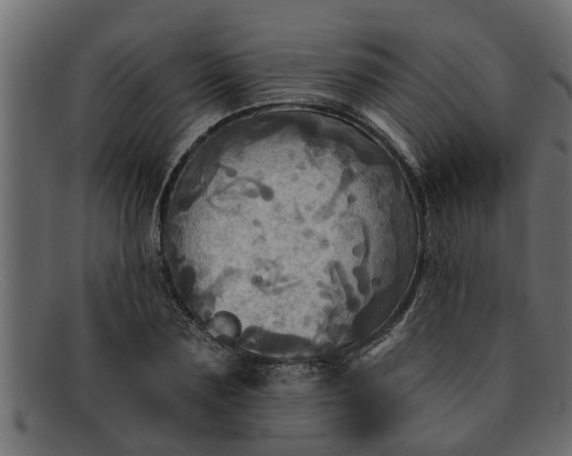 X0000091910883200709191318