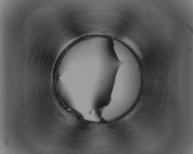 X0000091910884200709191318