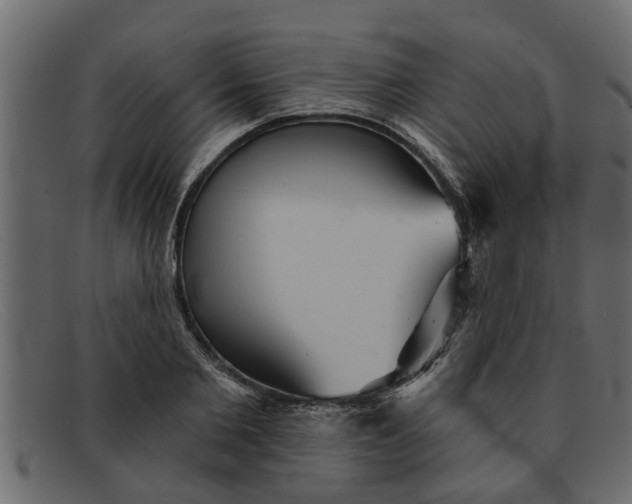 X0000091910885200709191318