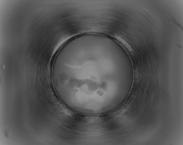 X0000091910886200709191318