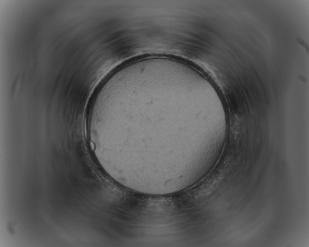 X0000091910887200709191318