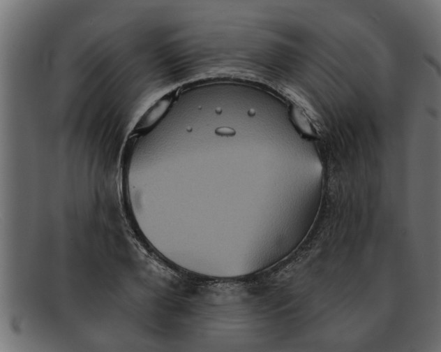 X0000091910888200709191318