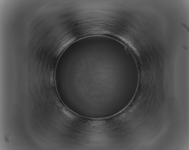 X0000091910889200709191318