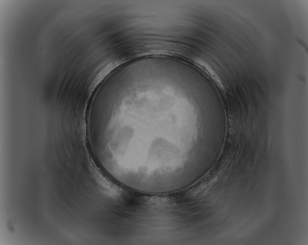 X0000091910890200709191318