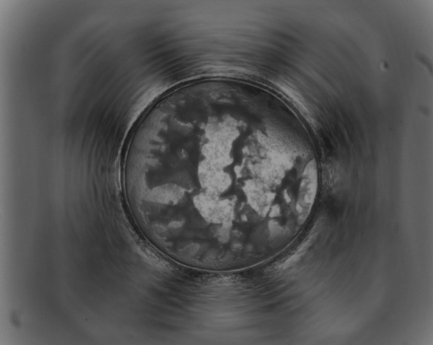 X0000091910891200709191318