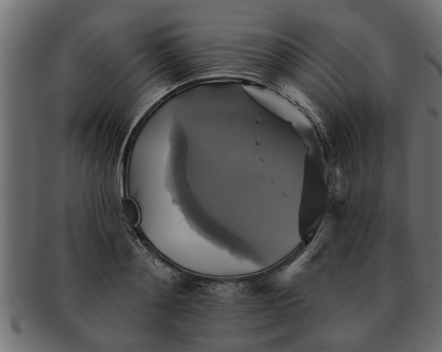 X0000091910892200709191318