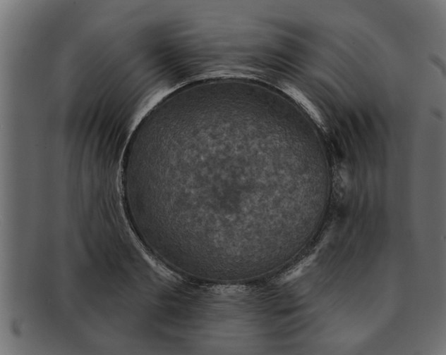 X0000091910893200709191318