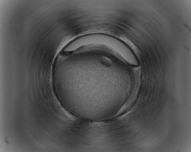 X0000091910894200709191318