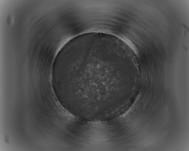 X0000091910896200709191318