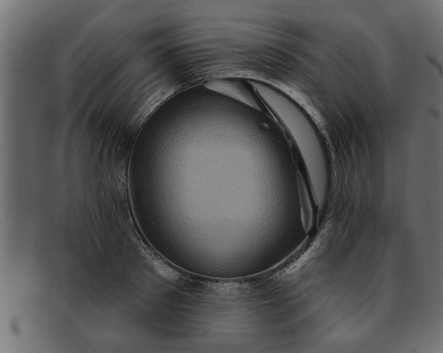 X0000091910897200709191318