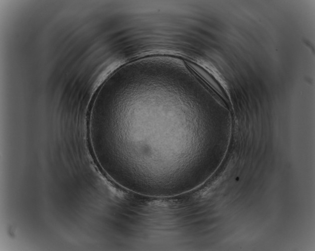 X0000091910898200709191318