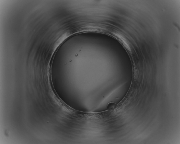 X0000091910899200709191318