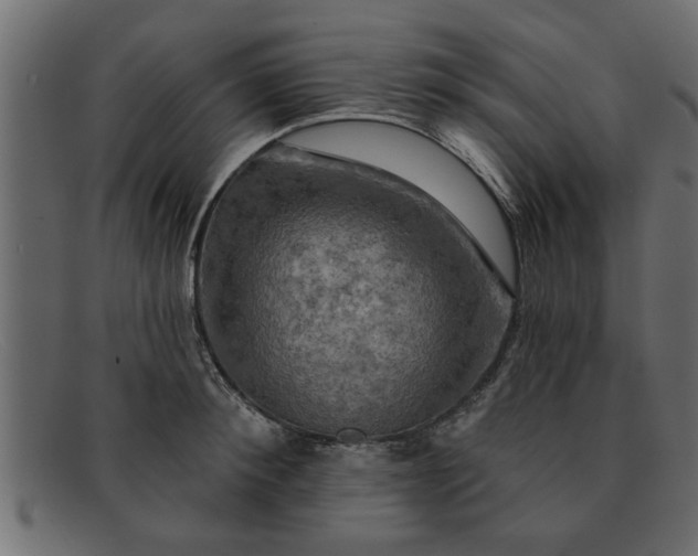 X0000091910900200709191318