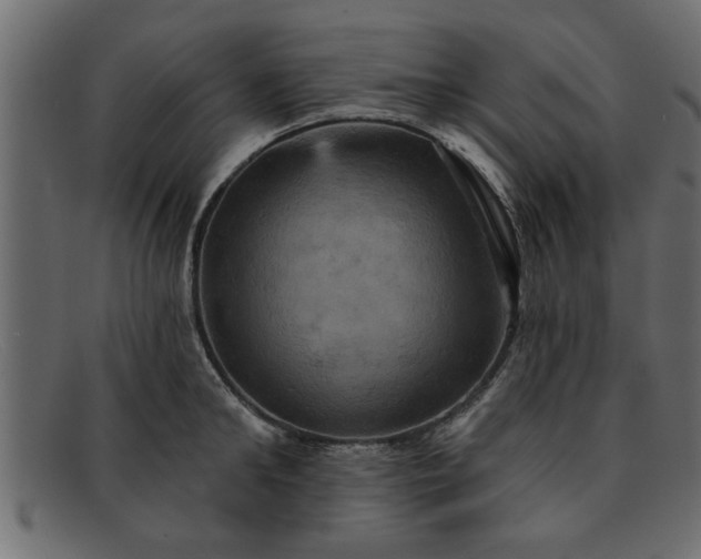 X0000091910902200709191318