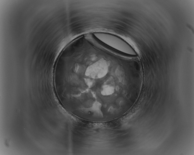 X0000091910903200709191317