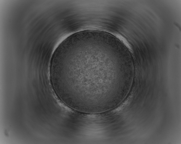 X0000091910904200709191317