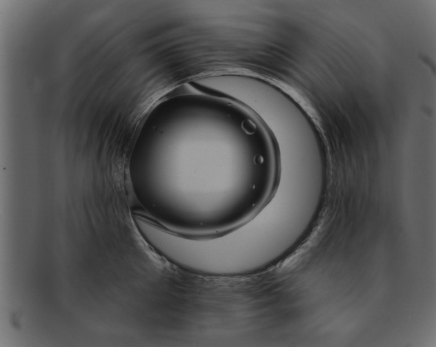 X0000091910905200709191317