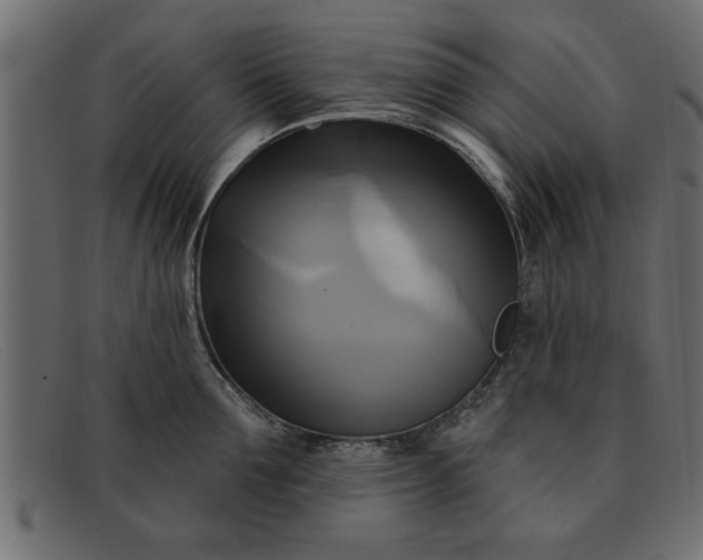 X0000091910907200709191317