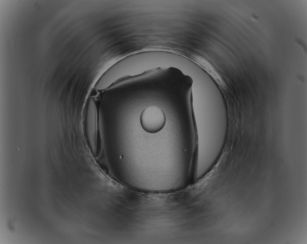 X0000091910908200709191317