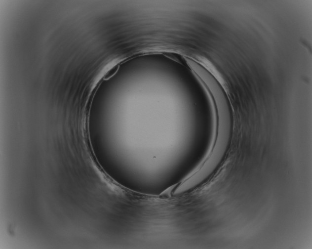 X0000091910909200709191317