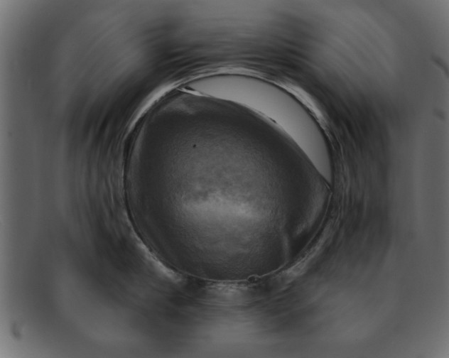 X0000091910910200709191317