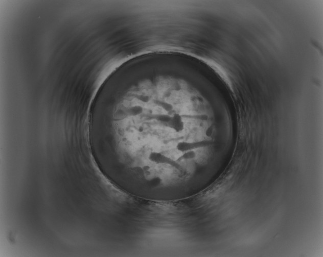 X0000091910911200709191317