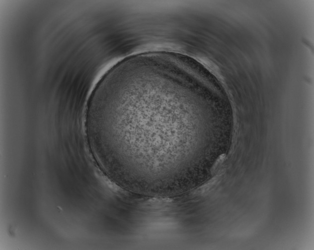 X0000091910912200709191317