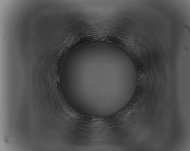 X0000091910913200709191317