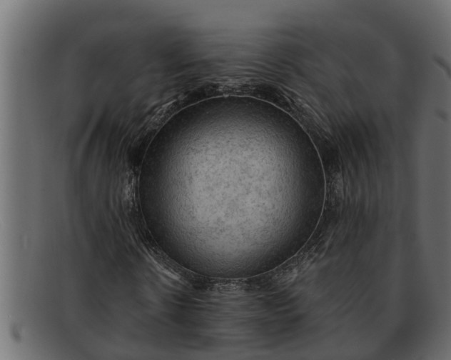 X0000091910914200709191317