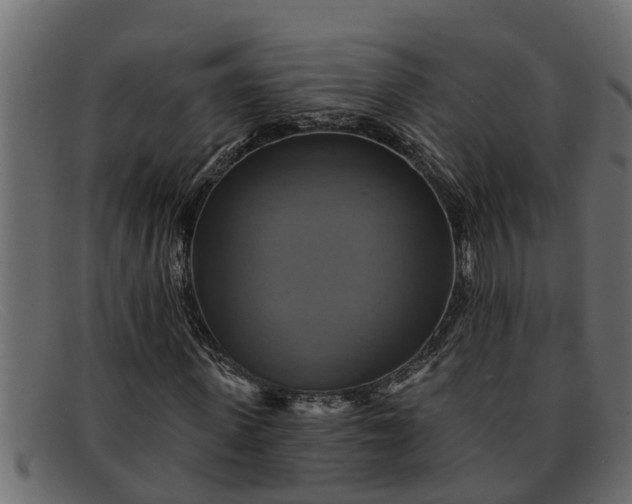 X0000091910915200709191317