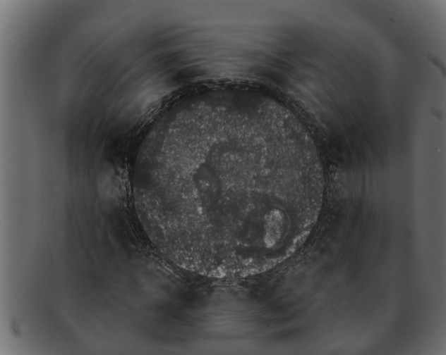 X0000091910918200709191317