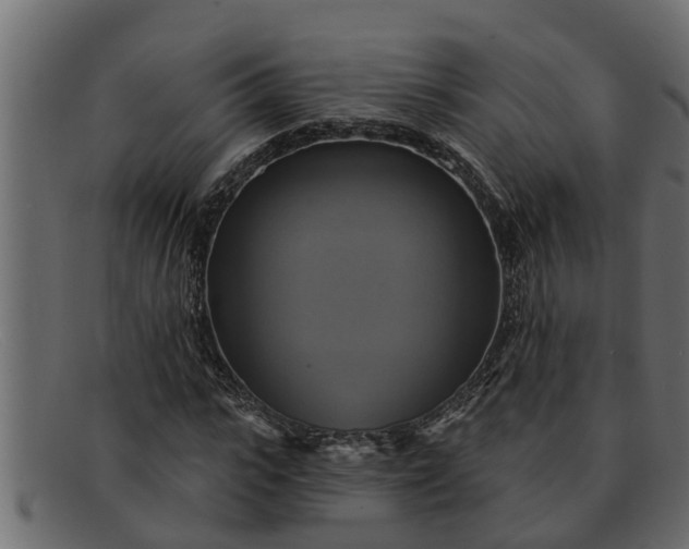 X0000091910919200709191317