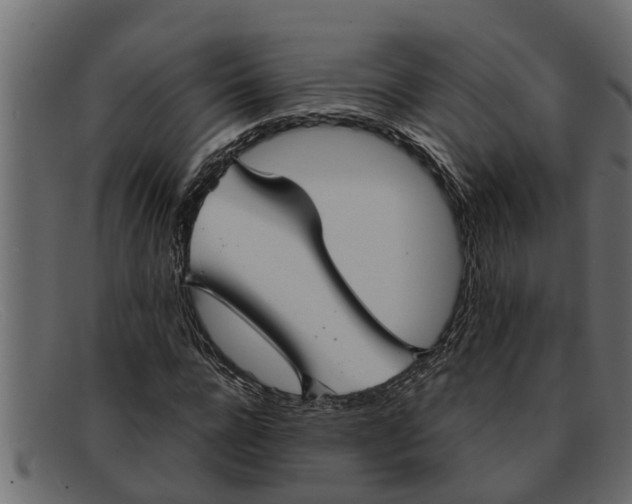 X0000091910920200709191317