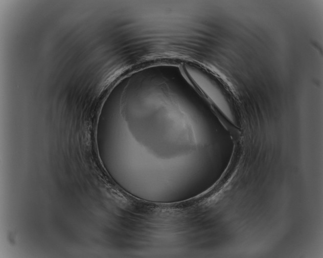 X0000091910921200709191317