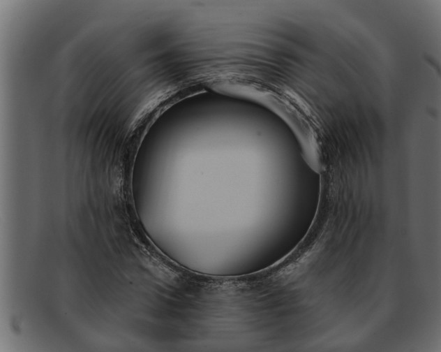 X0000091910922200709191317