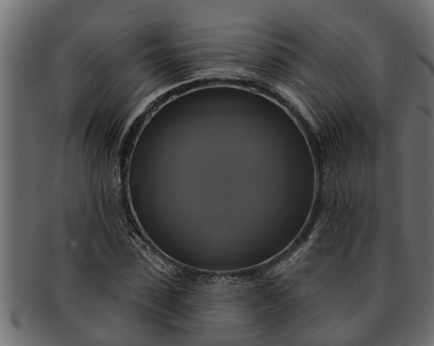 X0000091910923200709191317