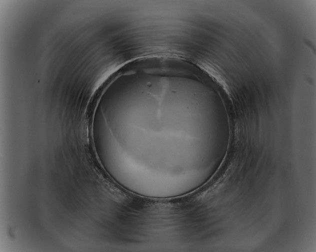 X0000091910925200709191317