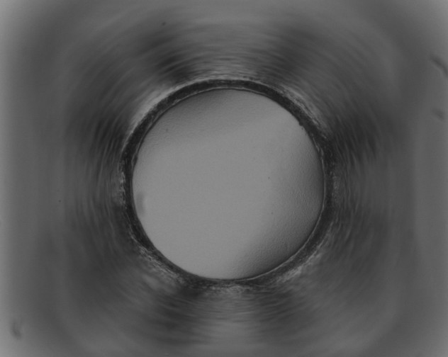 X0000091910926200709191317