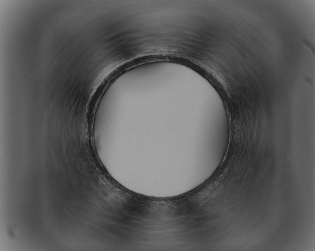 X0000091910927200709191317