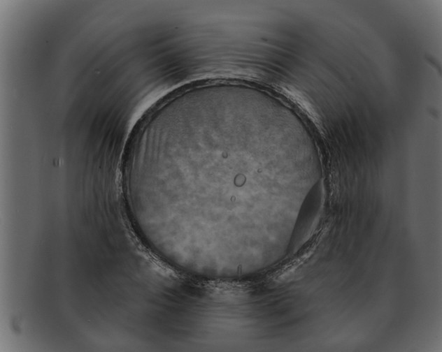 X0000091910928200709191317