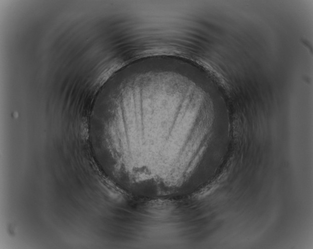 X0000091910929200709191317