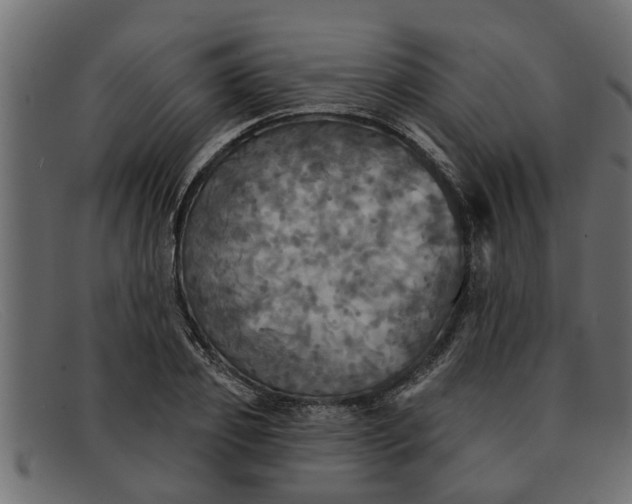 X0000091910933200709191317