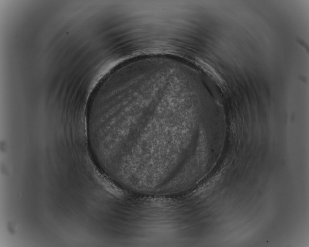 X0000091910934200709191317