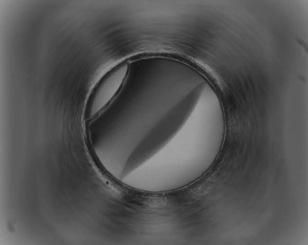 X0000091910935200709191317