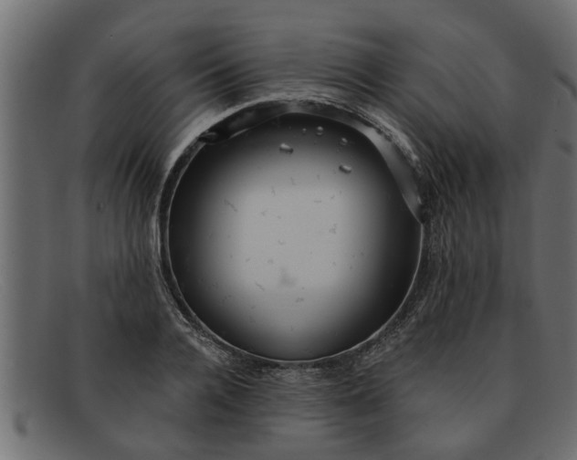 X0000091910936200709191317