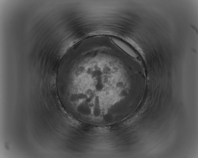 X0000091910937200709191317