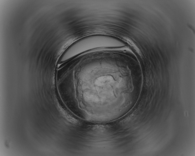 X0000091910938200709191317