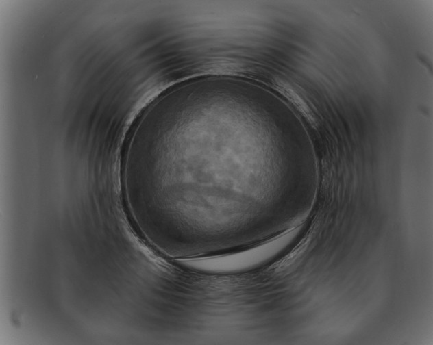 X0000091910939200709191317