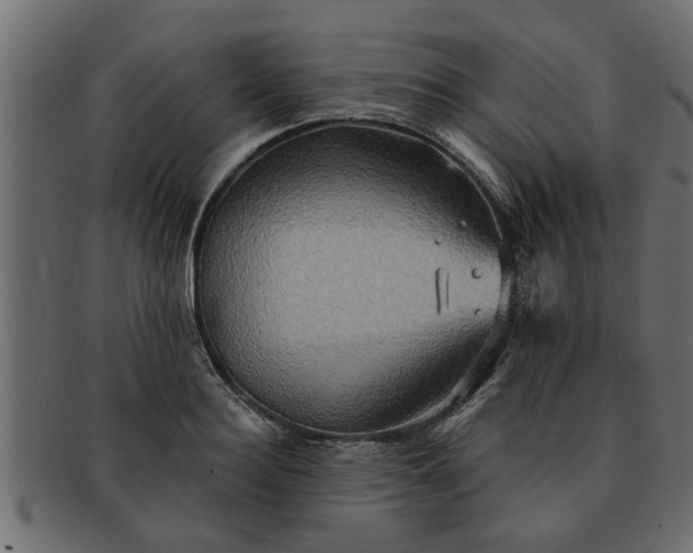 X0000091910940200709191317