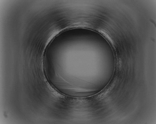 X0000091910941200709191317